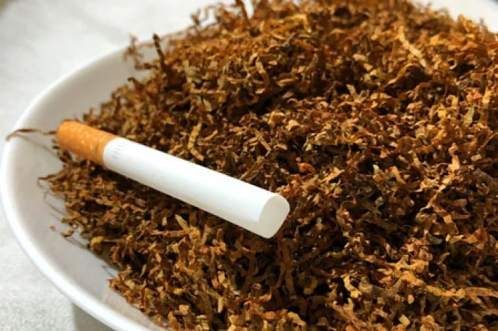 Асортимент тютюну: преміум та класика у продажу- фото № 4