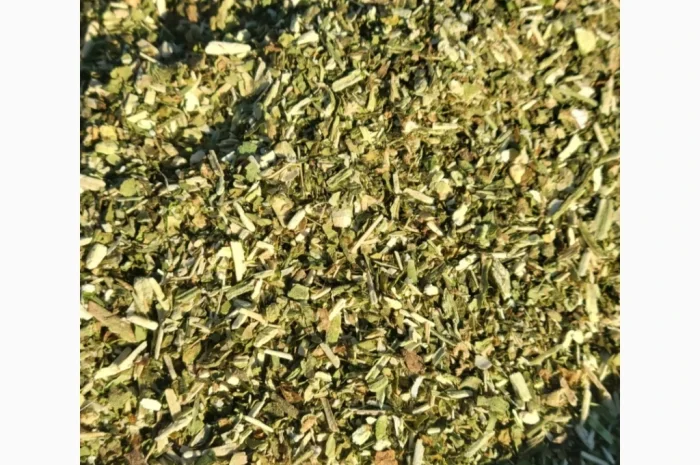 Самосад Махорочка в наличии- фото № 1