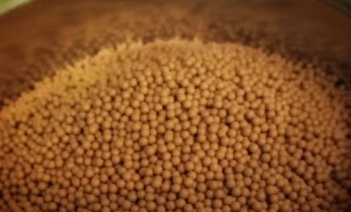 Гранулированное насіння тютюна гібрида- фото № 1