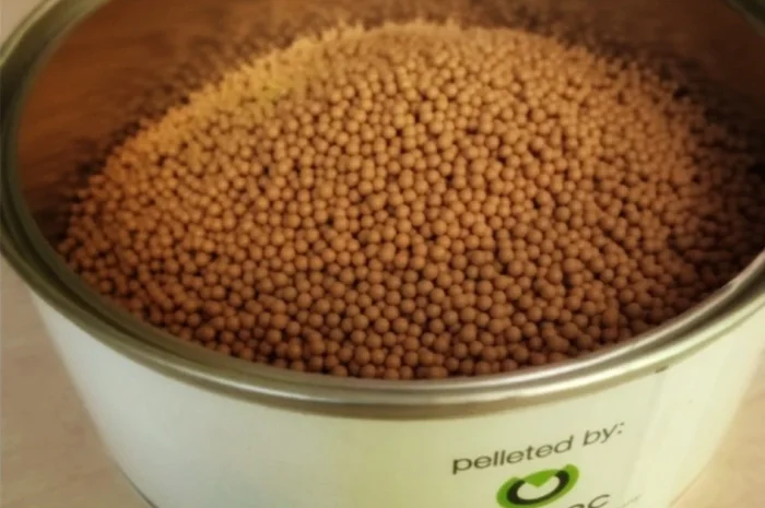 Гибридное семя тюльпана в гранулах- фото № 1