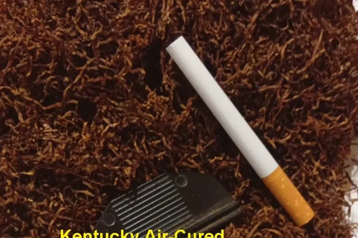 Табак Kentucky Air-Cured – тютюн Кентуккі повітряної сушки- фото № 1