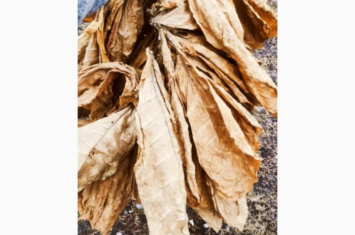 Продажа тютюна Вірджинія в Кропивницком- фото № 7