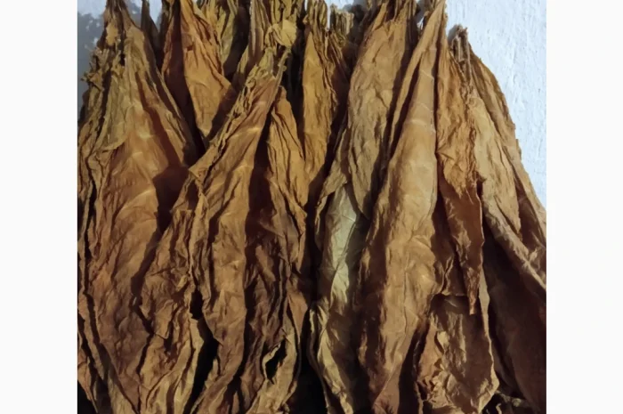 Продается лист тютюна сорта Вірджінія- фото № 1