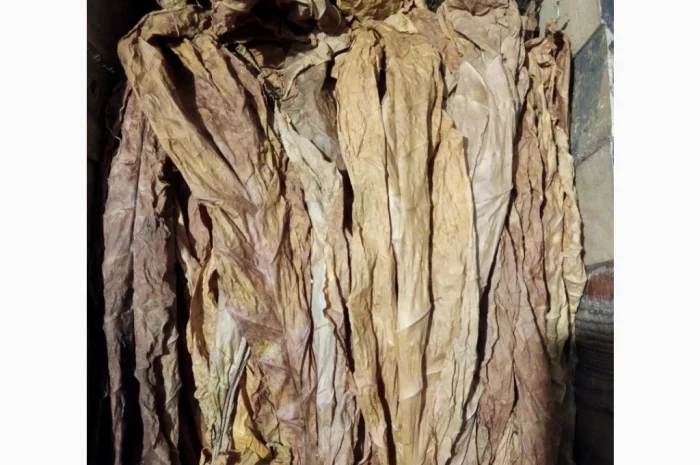 Продается лист тютюна сорта Вірджінія- фото № 2