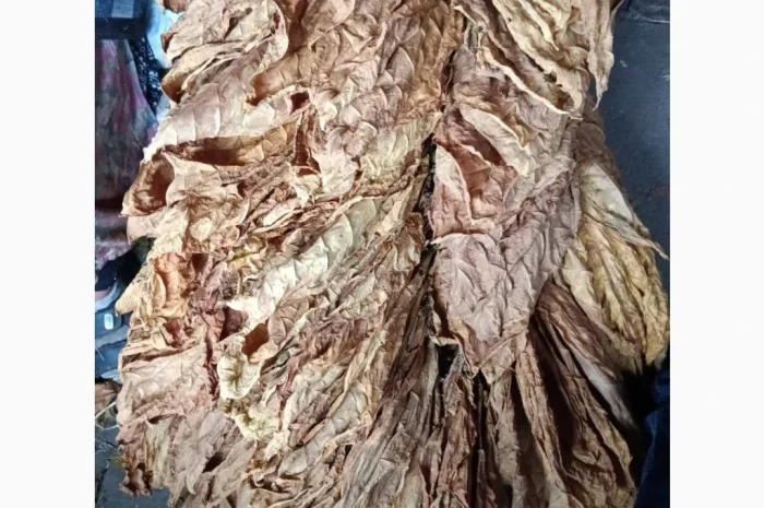 Продается лист тютюна сорта Вірджінія- фото № 4