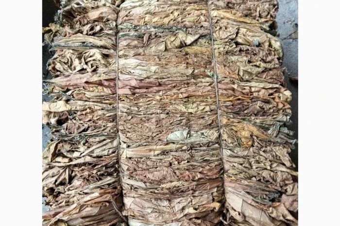 Продается лист тютюна сорта Вірджінія- фото № 5