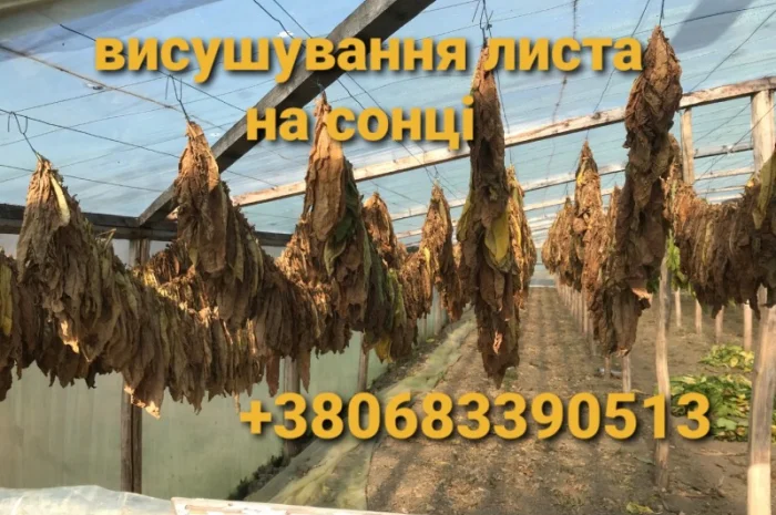 Табак Вирджиния средней крепости – 700 грн- фото № 5