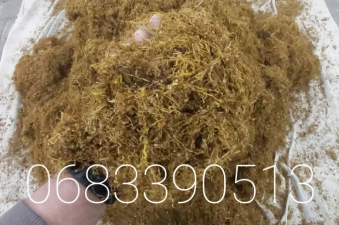 Тютюн Берлі – ціна 700 грн за 1 кг- фото № 1