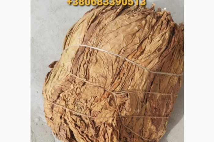 Пропонується Тютюн Virginia за ціною 700 грн за 1 кг- фото № 2