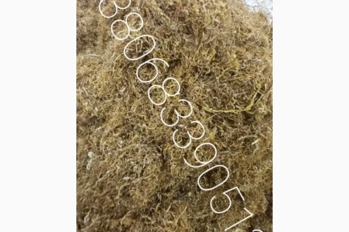 Пропонується ароматний тютюн Вірджінія, найкраща ціна 700 грн- фото № 6