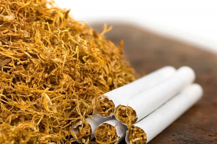 Твій тютюн - твій стиль: Берлі- фото № 1