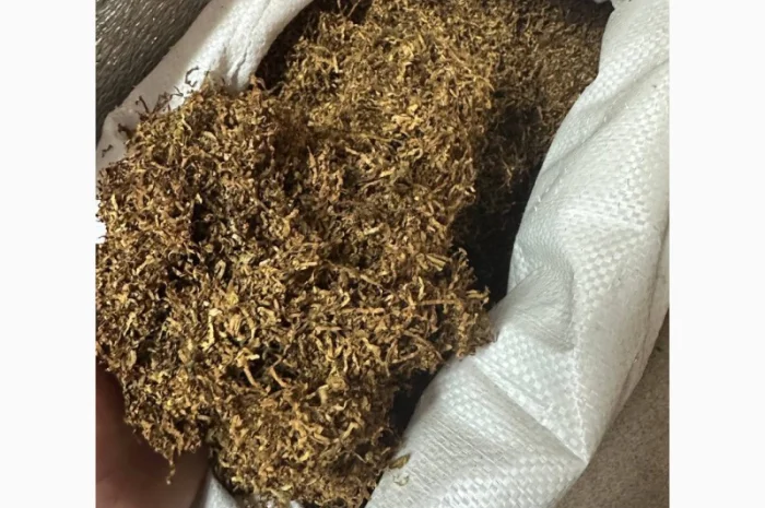 Пропонується якісний тютюн без домішок та пилу- фото № 3