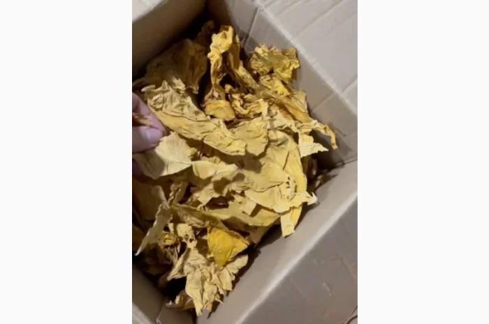 Тютюн Вірджинія – натуральна якість- фото № 1