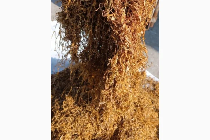 Тютюн Вірджинія – натуральна якість- фото № 3