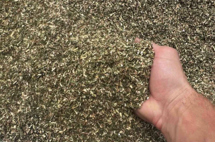 Продается тютюн самосад- фото № 1