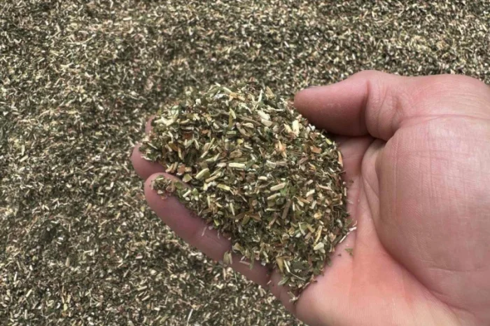 Продается тютюн самосад- фото № 2