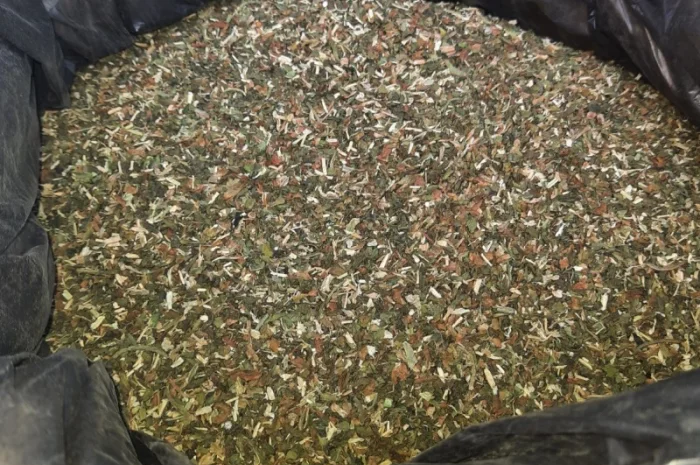 Домашній тютюн для самокруток- фото № 1