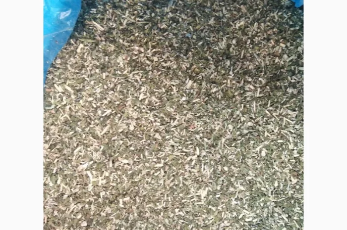 Продается качественный самосад табака- фото № 2