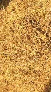 Якісний натуральний табак оптом- фото № 2