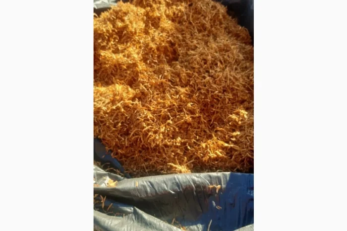 Продается домашний тютюн Вирджиния Голд- фото № 1