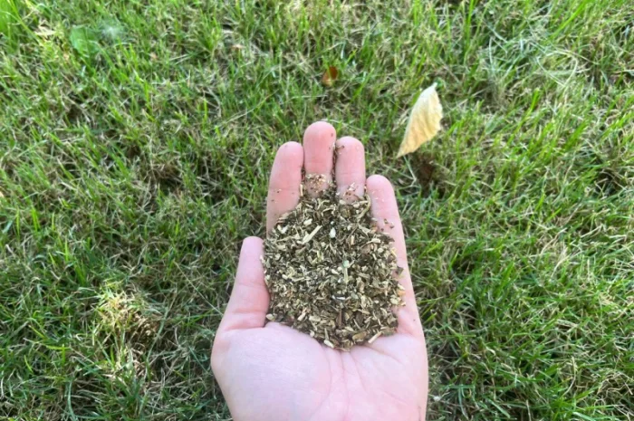 Табак, выращенный с любовью- фото № 1