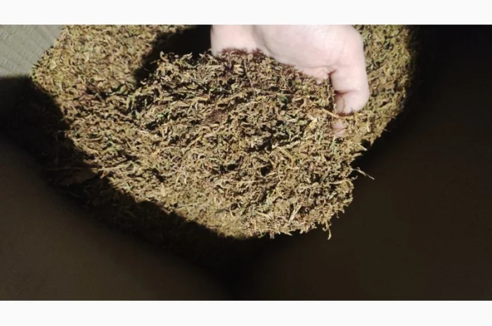 Продажа качественного тютина от 1 кг- фото № 3