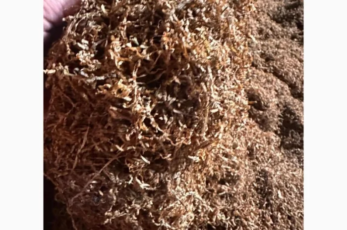 Продажа качественного тютина от 1 кг- фото № 6