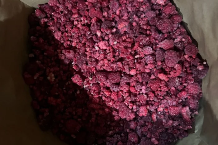 Продажа замороженной малины и других ягод- фото № 10