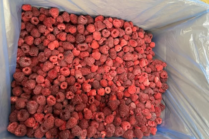 Продажа замороженной малины и других ягод- фото № 6