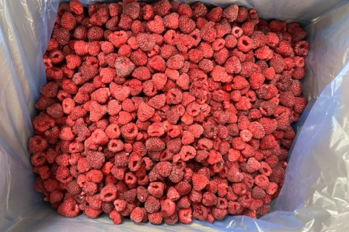Продажа замороженной малины и других ягод- фото № 5