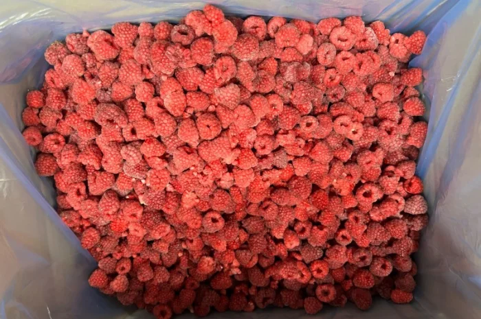 Продажа замороженной малины и других ягод- фото № 4