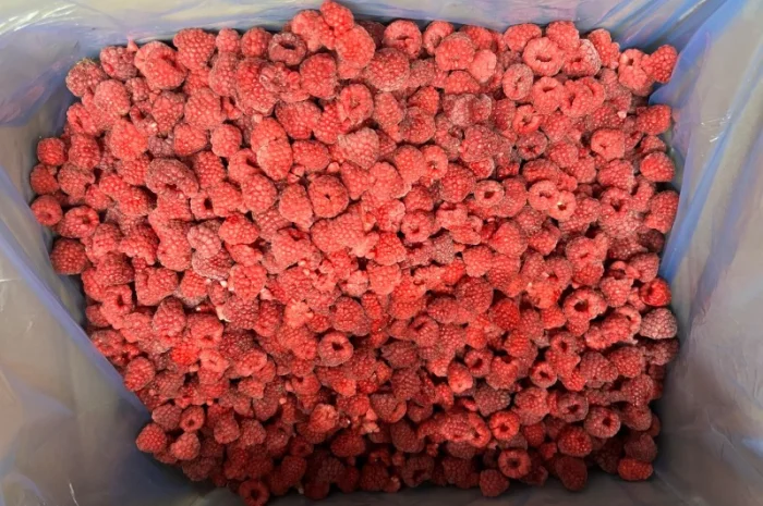 Продажа замороженной малины и других ягод- фото № 3