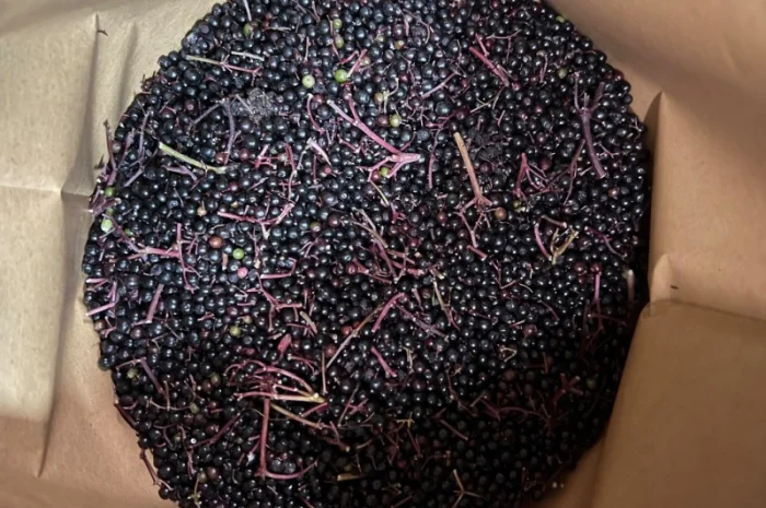 Продажа замороженной малины и других ягод- фото № 16