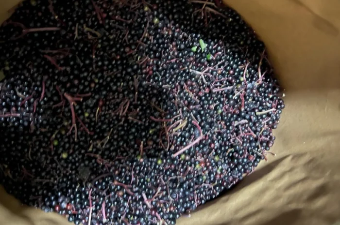 Продажа замороженной малины и других ягод- фото № 14