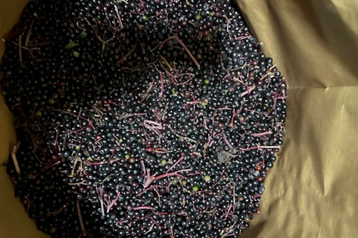 Продажа замороженной малины и других ягод- фото № 13