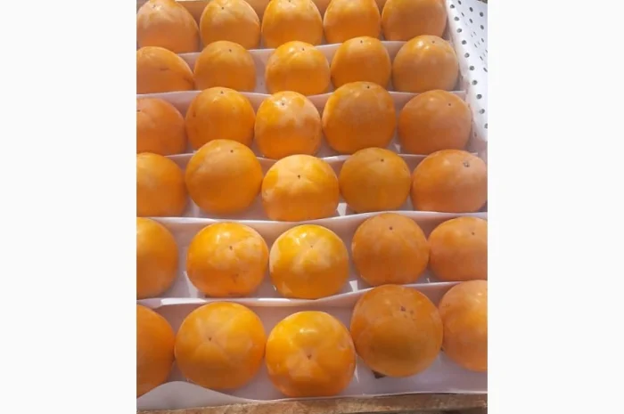 Продается гранат- фото № 1