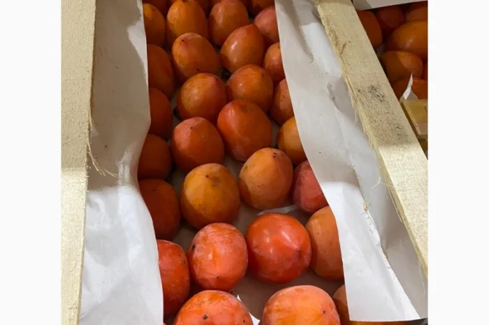 Продается гранат- фото № 2