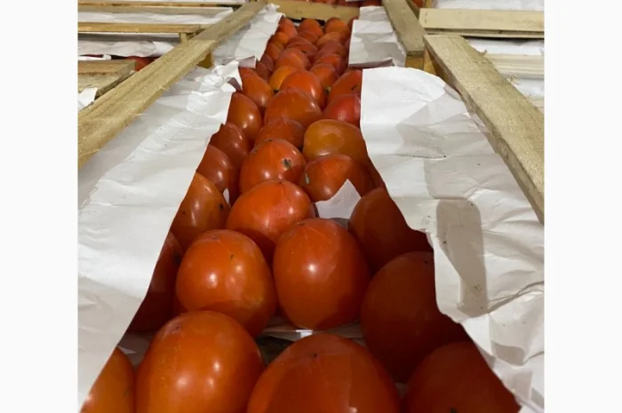 Продается гранат- фото № 4