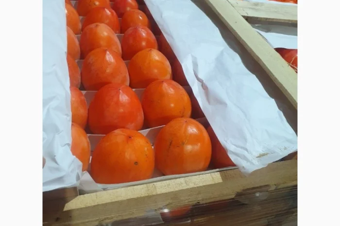 Продается гранат- фото № 5