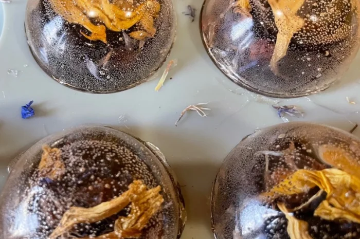 Чай в асортименті — різноманіття смаків- фото № 5