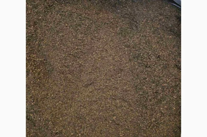 Чай черный крепкий листовой в продаже- фото № 3