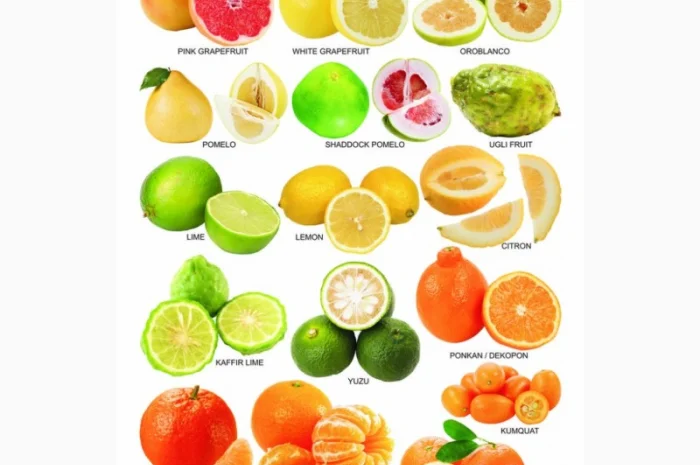 Купую фрукти 2 сорту- фото № 1