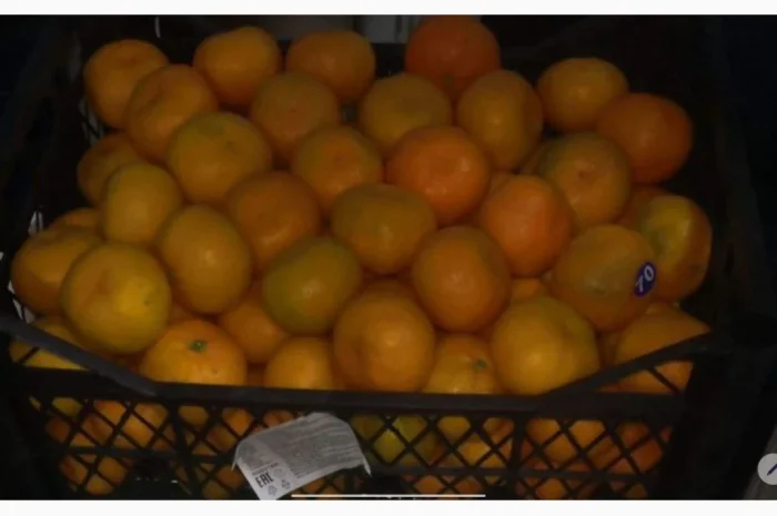 Регулярні поставки овочів та фруктів з Туреччини- фото № 1