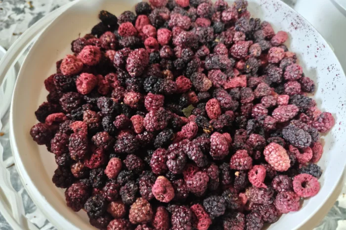 Продажа сушеных яблок, абрикос, ожины и вишни- фото № 1