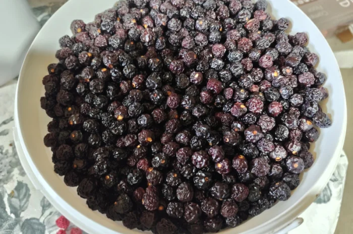 Продажа сушеных яблок, абрикос, ожины и вишни- фото № 2