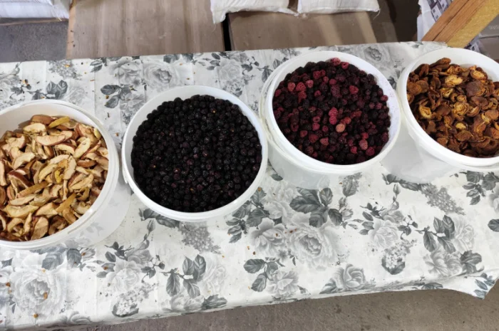Продажа сушеных яблок, абрикос, ожины и вишни- фото № 4