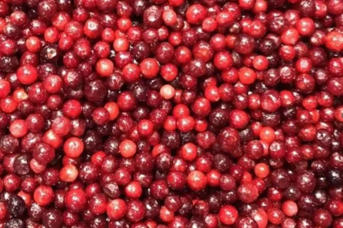 Заморожені ягоди та овочі від польської компанії за низькими цінами- фото № 1