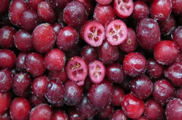 Заморожені ягоди та овочі від польської компанії за низькими цінами- фото № 2