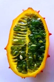 Семена кивано – уникальный экзотический фрукт- фото № 2