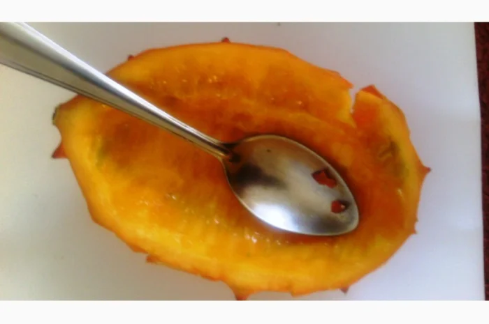 Семена кивано – уникальный экзотический фрукт- фото № 4